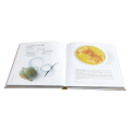 Cook Expert Recipe Book Bundle